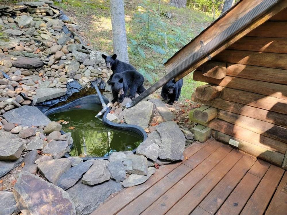 Very Private, Real Log Cabin With Hot Tub! Sevierville Exterior photo